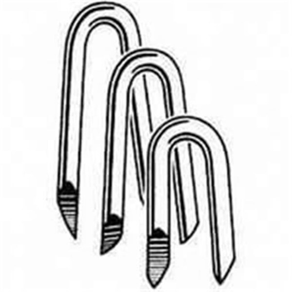 National Nail National Nail Staple Fence Eg 1-1/4 In 1Lb 79078 Pack Of 12 - 9922972