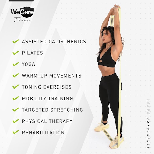 Wecare Fitness Full-Body Workout 4 Pack Resistance Bands, 4 Levels of Resistance, Mesh Carrying Bag, 4PK - WC-4P-RBS