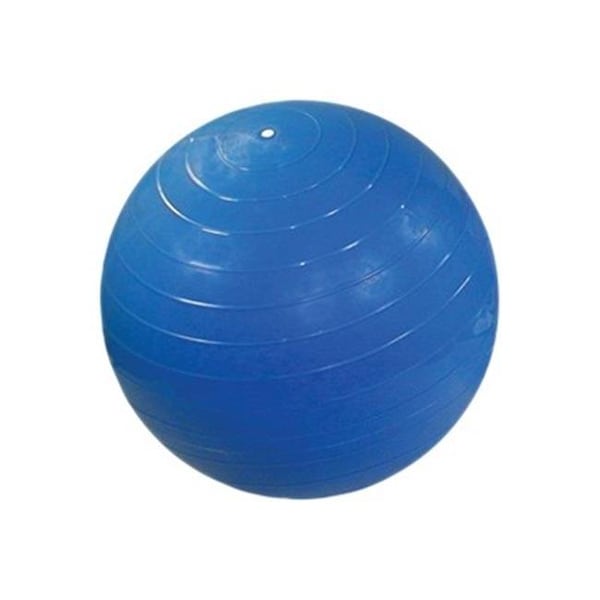 Fabrication Enterprises Fabrication Enterprises 30-1789 Cando Ball for Small Ball Chair - Blue - 30-1789