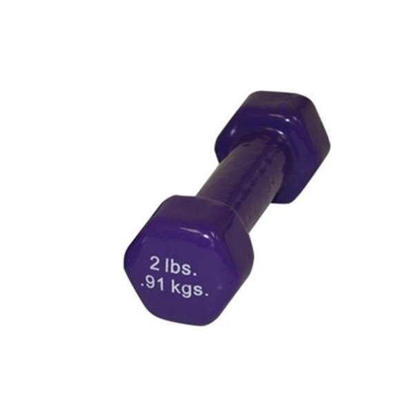 Fabrication Enterprises Fabrication Enterprises 10-0551-1 2 lbs Vinyl-Coated Iron Dumbbell; Violet - 10-0551-1