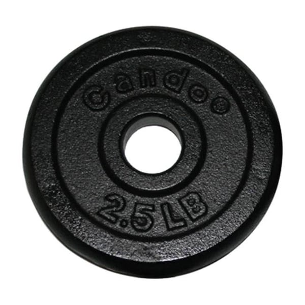 Fabrication Enterprises Fabrication Enterprises 10-0601 Iron Disc Weight Plate; 2.5 Lbs. - 10-0601