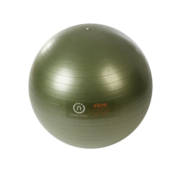Lifeline Fitness Natural Fitness PRO Burst Resistant Exercise Ball - FBREB65OL