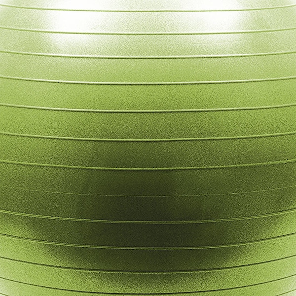 Lifeline Fitness Natural Fitness PRO Burst Resistant Exercise Ball - FBREB65OL