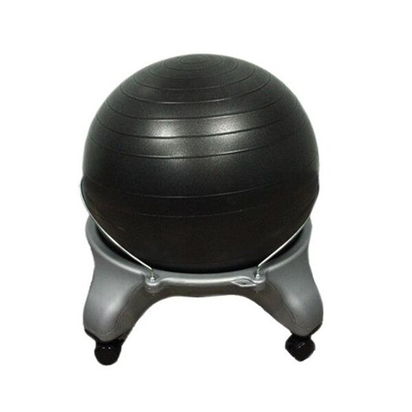 Fabrication Enterprises Fabrication Enterprises 30-1796 Cando Plastic Exercise Ball Chair with Locking Casters - 30-1796