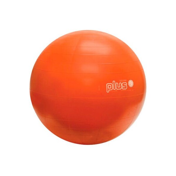 Fabrication Enterprises PhysioGymnic Molded Vinyl Inflatable Exercise Ball, 55 cm (22"), Orange - 30-1701