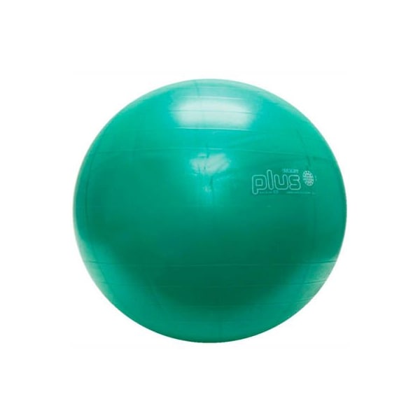 Fabrication Enterprises PhysioGymnic Molded Vinyl Inflatable Exercise Ball, 65 cm (26"), Green - 30-1702