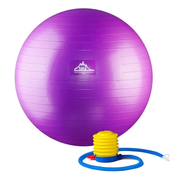 Black Mountain Products 2000 lbs Professional Grade Stability Ball with Pump Purple 55 cm - PSPURP 55CM
