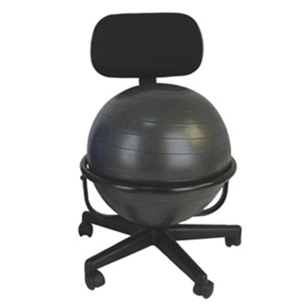 Cando International Mobile Metal Ball Chair with 22 in. Ball with Back - CANDO-30-1790
