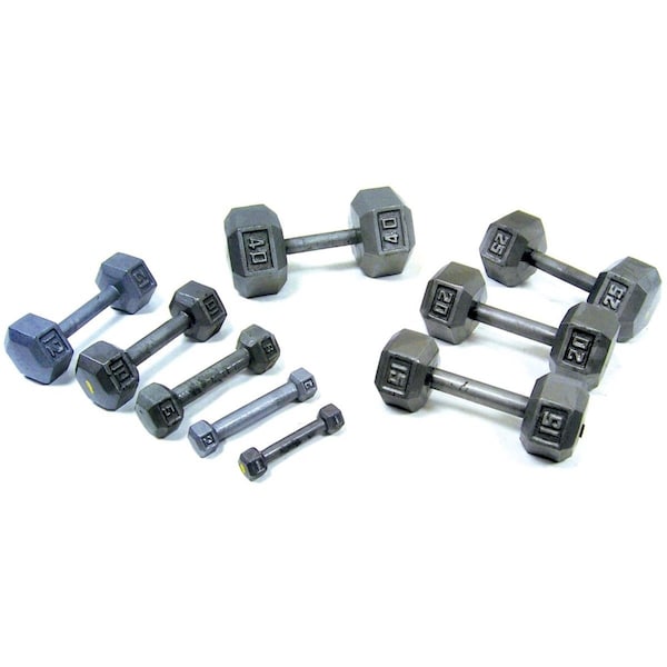 Steadfast 30lbs Cast Iron Hex Dumbbell - ST2509554