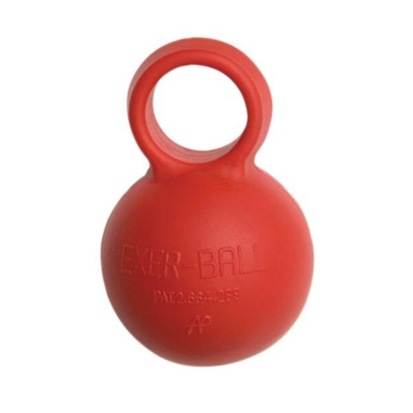 Fabrication Enterprises Fabrication Enterprises 10-0807 Fixed Resistance Hand Grip; Medium; Red; Pair - 10-0807