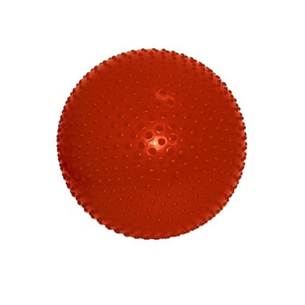 Fabrication Enterprises Fabrication Enterprises 30-1773 21.7 in. Cando Sensi Inflatable Exercise Ball - 30-1773