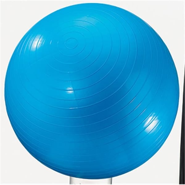 Dick Martin Sports Dick Martin Sports Masgym24 Exercise Ball 24In Blue - MASGYM24