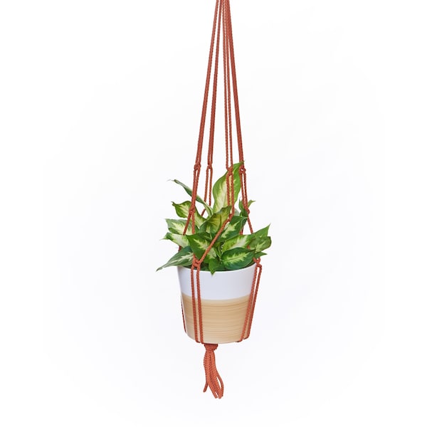 Primitive Planters Primitive Planters Assorted Macrame 36 in. H Plant Hanger 1 pk - 2176