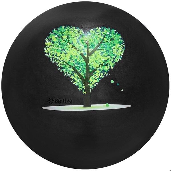 Bintiva Exercise Ball with Stabilizing Sand, 55cm, Black - BN-SANDBALL-55BLK-BT
