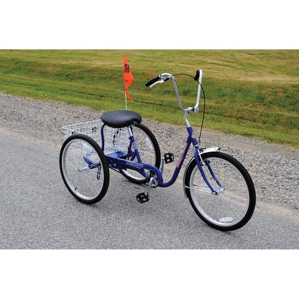Zoro Select Bicycle, 250 lb Cap., Blue, 24" dia Wheel - IBIKE-3-DC-B