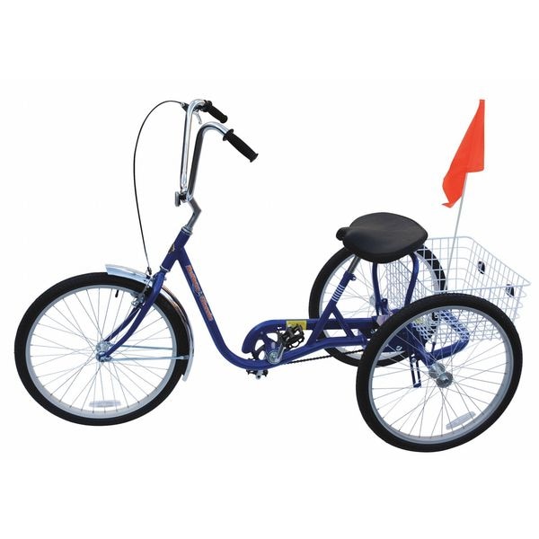 Zoro Select Bicycle, 250 lb Cap., Blue, 24" dia Wheel - IBIKE-3-DC-B