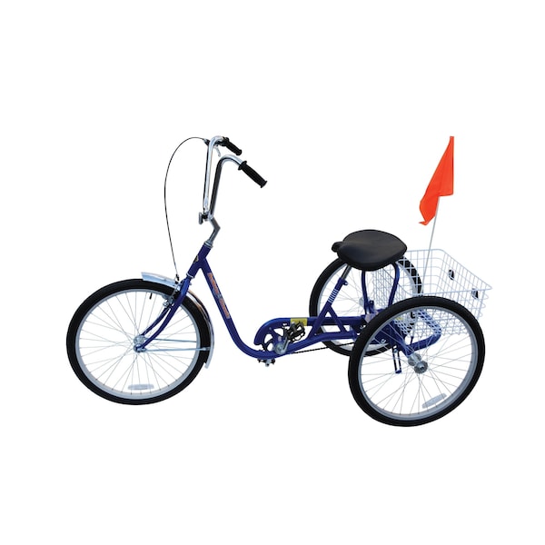 Zoro Select Bicycle, 250 lb Cap., Blue, 24" dia Wheel - IBIKE-3-DC-B