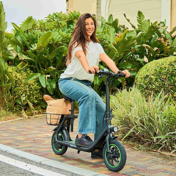 Gopowerbike GoFlow Electric Scooter with Seat - BR001