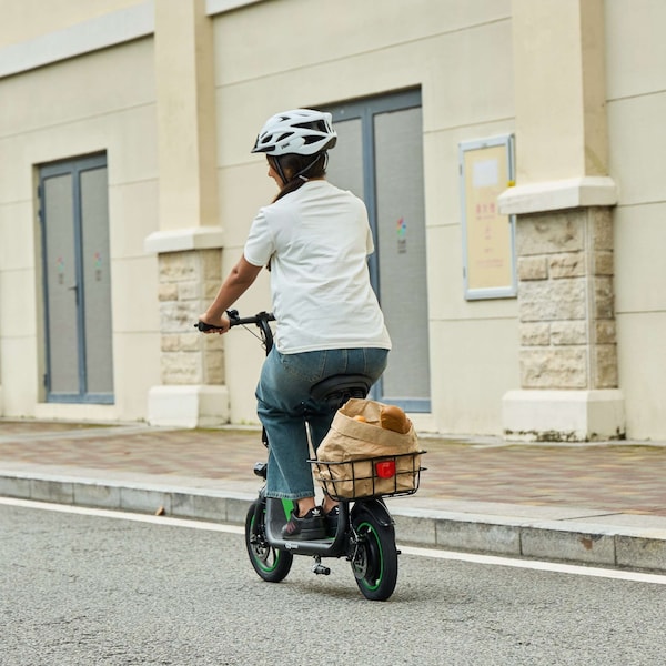 Gopowerbike GoFlow Electric Scooter with Seat - BR001