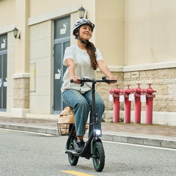 Gopowerbike GoFlow Electric Scooter with Seat - BR001