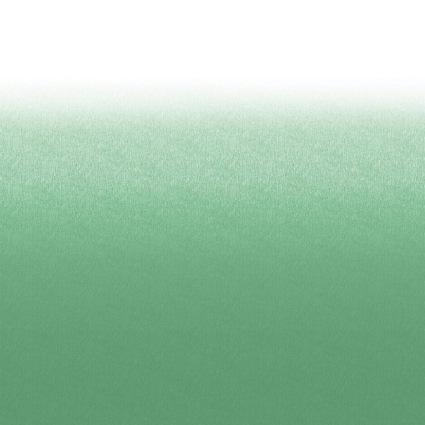 Lippert 16 ft. White Replacement Fabric Green Fade Awning - LIPV000345099