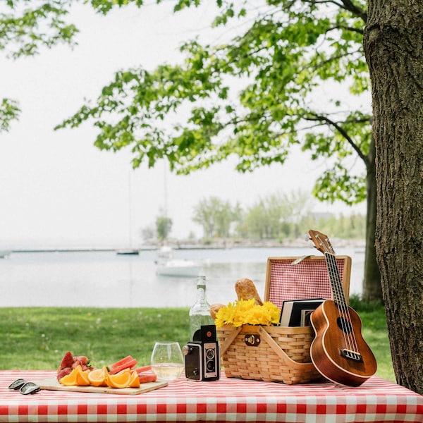 Vintiquewise Gingham Lined Woodchip Picnic Basket With Lid and Movable Handles - QI003624