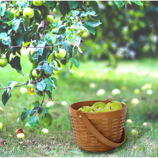 Vintiquewise Small Wood Chip Apple Picking Basket - QI003151