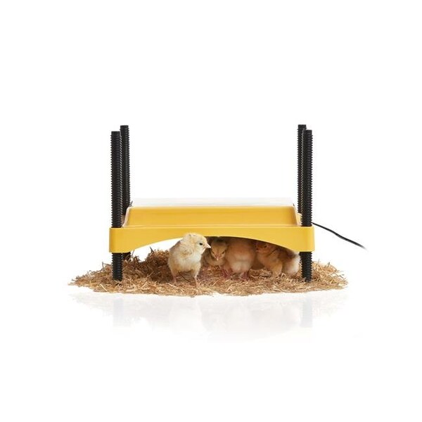 Brinsea Products Inc Brinsea Products USHD611C Eco Glow Safety 600 Chick Brooder - USHD611C