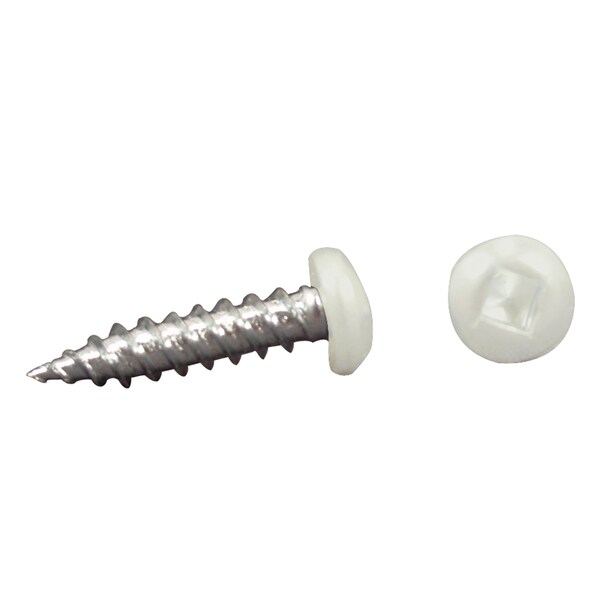 Ap Products AP Products 012-PSQ500 8 X 3/4 Pan Head Square Recess Screw, Pack of 500 - 3/4", White - 012-PSQ500 W 8 X 3/4