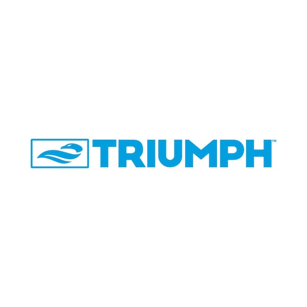 Triumph Wood Lawn 28-Piece Domino Set - 35-7331-3