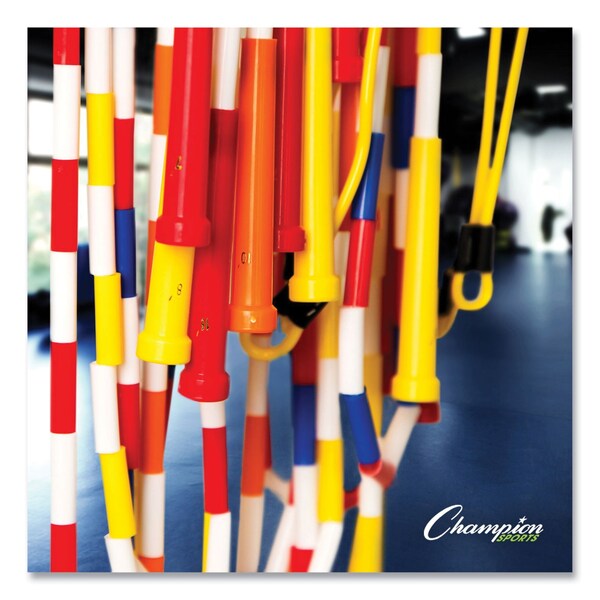 Champion Sports Physical Ed Kit, w/7Balls, 14 JmpRops, PK21 - UPGSET2