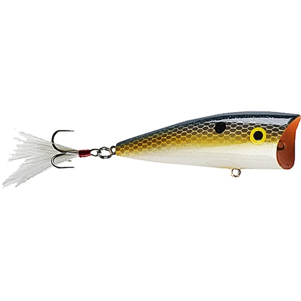 Rebel 3 in. Pop-R Magnum 0.5 oz, Foxy Shad - P6575