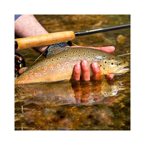 Leisure Sports Fly Fishing Pole, 3 Piece Collapsible 97-inch Fiberglass and Cork Rod and Ambidextrous Reel with Case - 696223BLM