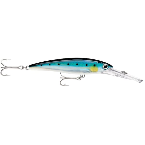 Rapala X-Rap&reg; Magnum&reg; 15 Blue Sardine - XRMAG15BSRD