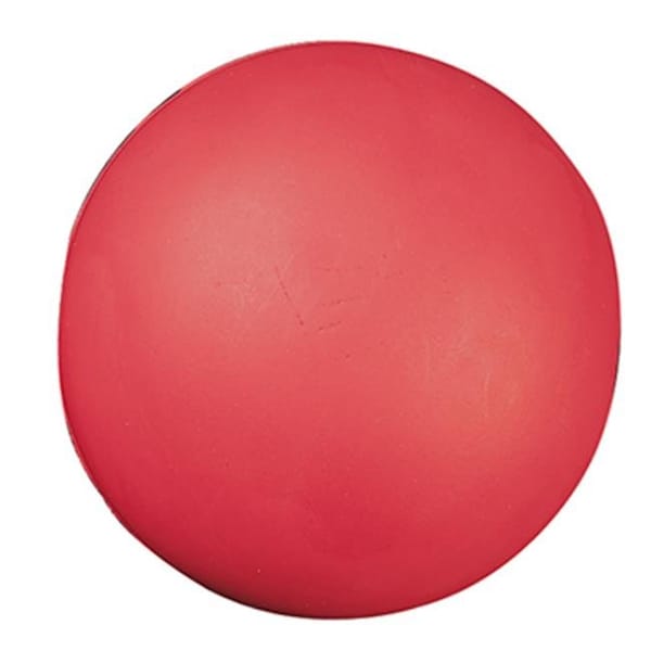 Champion Sports Champion Sports CHSHD85 High Density Coated Foam Ball 8In - CHSHD85