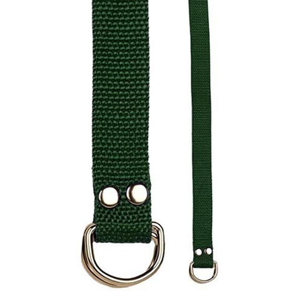 Champion Sports Football Belt, Gold - 20210