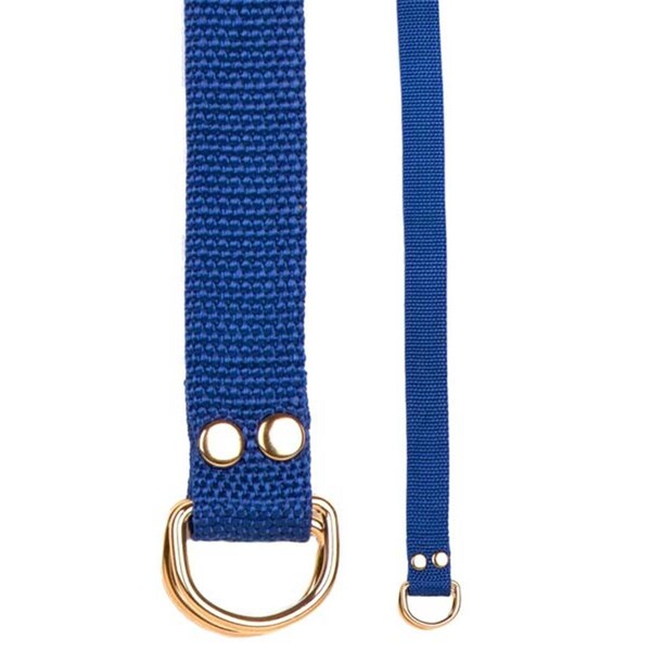 Champion Sports Football Belt, Blue - 20208