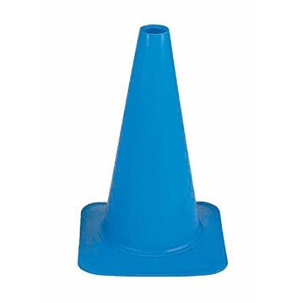 Everrich Industries Everrich EVB-0016-5 12 in. Height Plastic Cones - Blue - EVB-0016-5