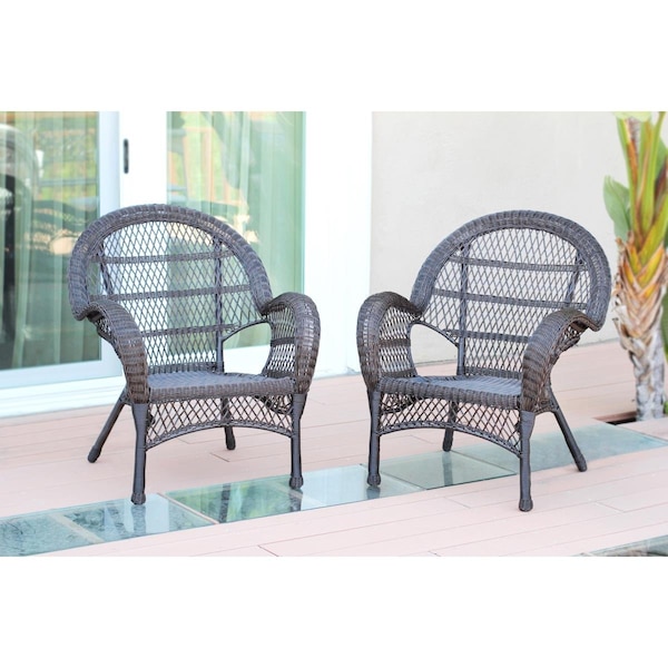 Propation W00208-C-2 Espresso Wicker Chair - PR2430126