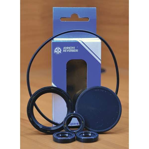 A.R. North America Oil Seal Kit - AR2787
