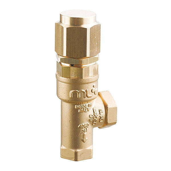 A.R. North America Safety Valve, SS 10,450 psi - 4073201000