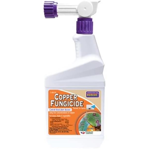 Bonide Products Bonide Products 248508 PT Ready to Spray Copper Fungicide - 248508