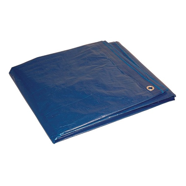 Foremost Tarp Tarp, 10 Ft x 12 Ft, 5-Mil, Blue, Polyethylene - 81012