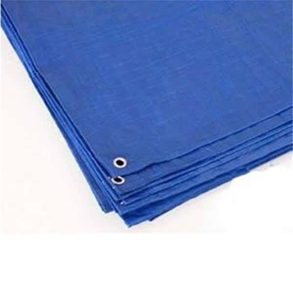 Gan Eden 17420 8 ft. x 10 ft. Reinforced Rip-Stop Polyethylene Tarps - Blue - GA2963254