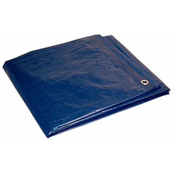 Guarderia 20 ft x 30 ft Tarp, Blue - GU2588207