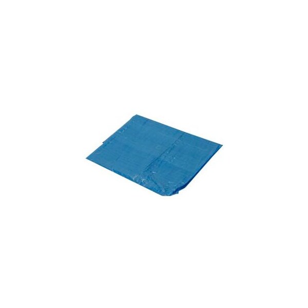 Harpster Of Philipsburg Light Duty Tarp, Blue, High-Density Polyethylene - B60X120