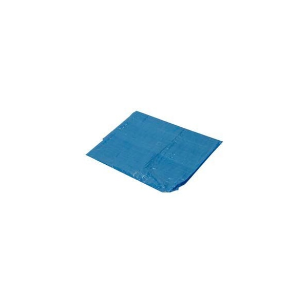 Harpster Of Philipsburg Light Duty Tarp, 20 ft x 20 ft, Blue, High-Density Polyethylene - B20X20