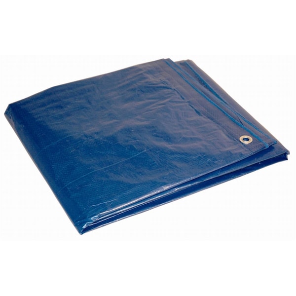 Foremost Tarp 16 ft x 20 ft Tarp, Blue - 1620