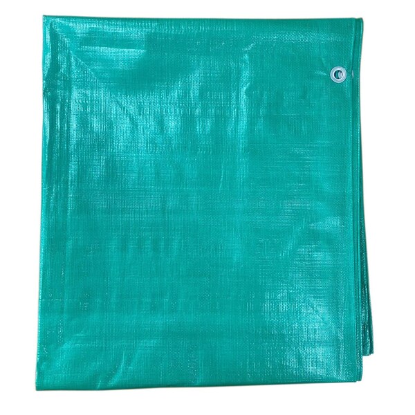 T.W. Evans Cordage Co. 10 ft. x 12 ft. Black/Green Contractor Grade Value Poly Tarp - G1012