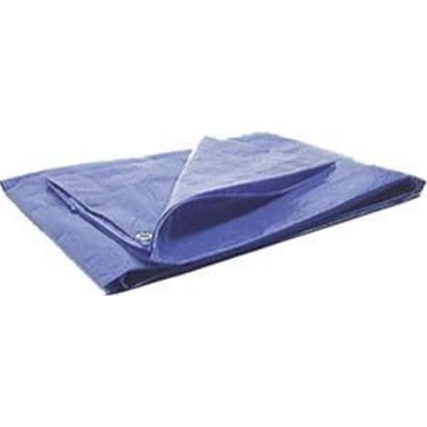 Soto Beauty W6022 Protective Tarp - 20x30 - SO3183576